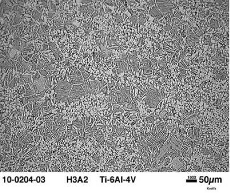 Microstructure of P/M Ti